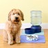 La routine “ideale” per il cane – parte uno