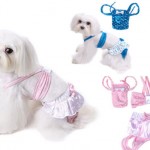 costumi da bagno cani