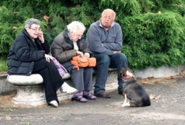 Terremoto in Emilia Romagna, anche gli animali tra le vittime