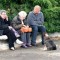 Terremoto in Emilia Romagna, anche gli animali tra le vittime