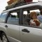 Cani in auto: ecco alcuni accessori indispensabili