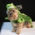 Vestiti di carnevale per animali domestici, gallery divertente