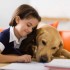 10 migliori razze canine per i bambini (Foto)