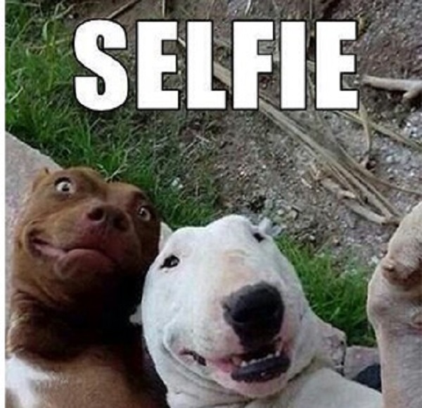 selfie cani