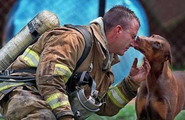 10 animali salvati dai vigili del fuoco