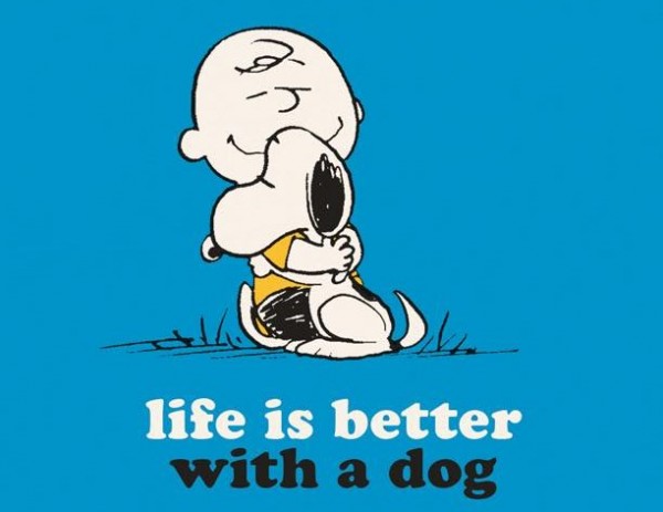 10 cose sui cani insegnate Snoopy