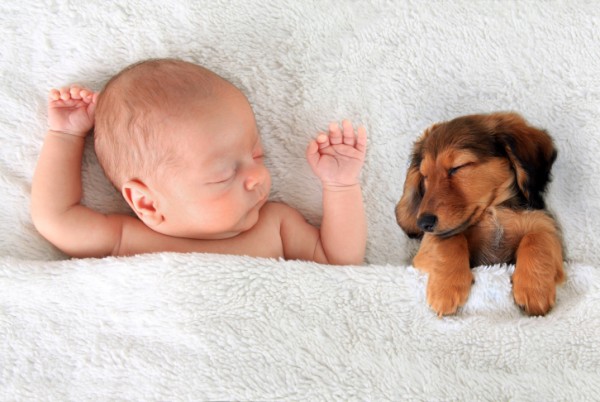 Neonato dorme con cucciolo di cane