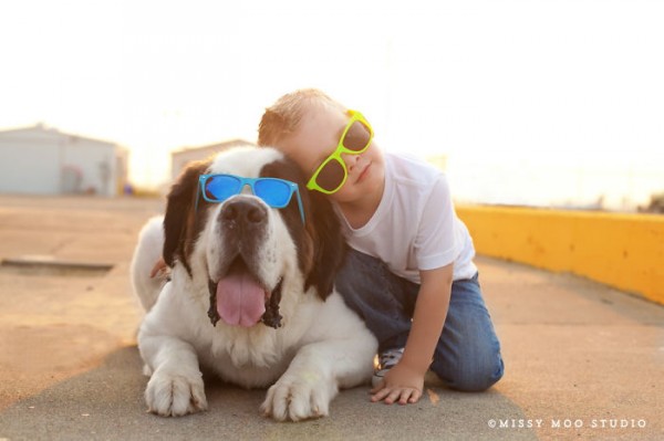 cane e bambino indossano occhiali da sole