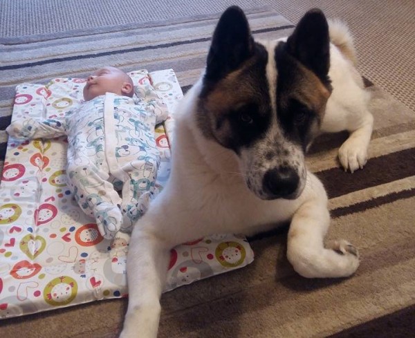 neonato e cane