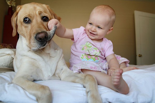 cane e bambina