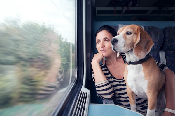 cane viaggio, trasporto pubblico