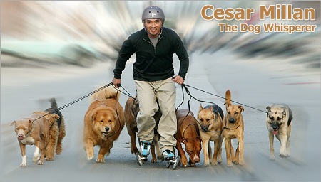 cesar millan the dog whisperer