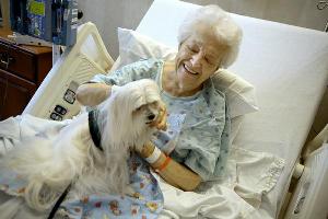 pet therapy foto