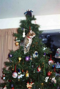 albero Natale gatto