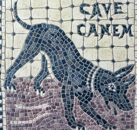 cave canem