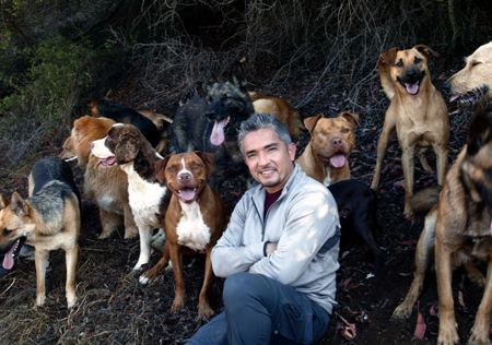 cesar millan