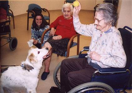 pet therapy e anziani