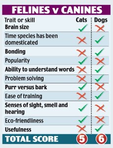 cani versus gatti