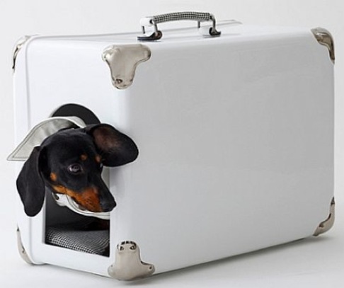 valigia-per-cani