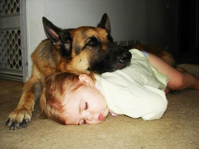 dormire con cane