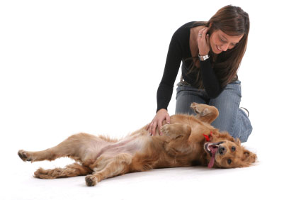 massaggio cani