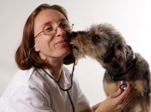 avvelenamento da arsenico cane