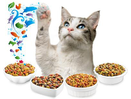 cibo per gatti ecologico