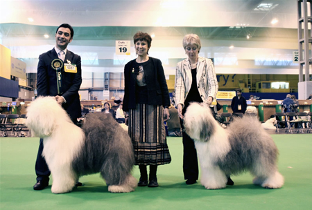 crufts