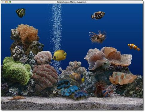 screensaver3d-aquarium