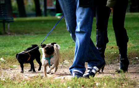 a spasso con il cane