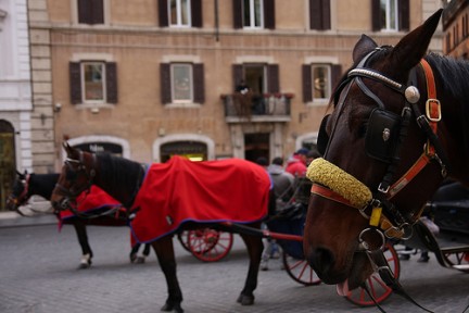 botticelle romane