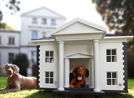 casa di lusso per cani