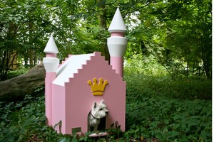 casa per cani fairytale