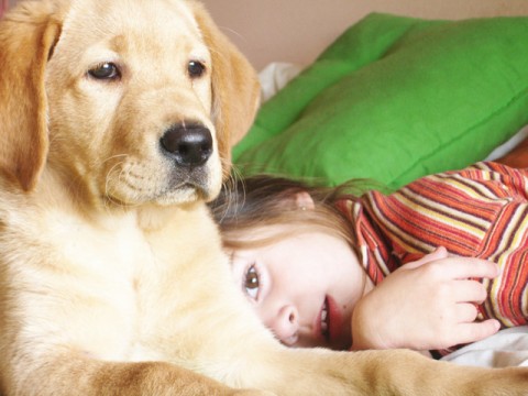 cane con bambini