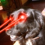 laser cane