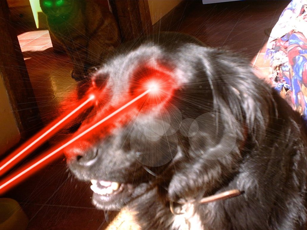 laser cane