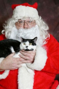 Gatto con Babbo Natale