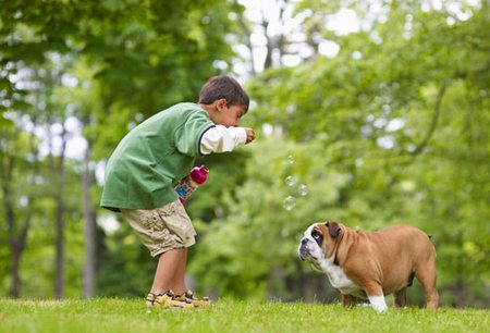 cane e bambino