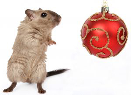 KUIYAI Portachiavi Scoiattolo Con Coda Lunga | Ciondolo In Acciaio Inox Per Amanti Degli Animali | Regalo Originale Per Amici Roditori