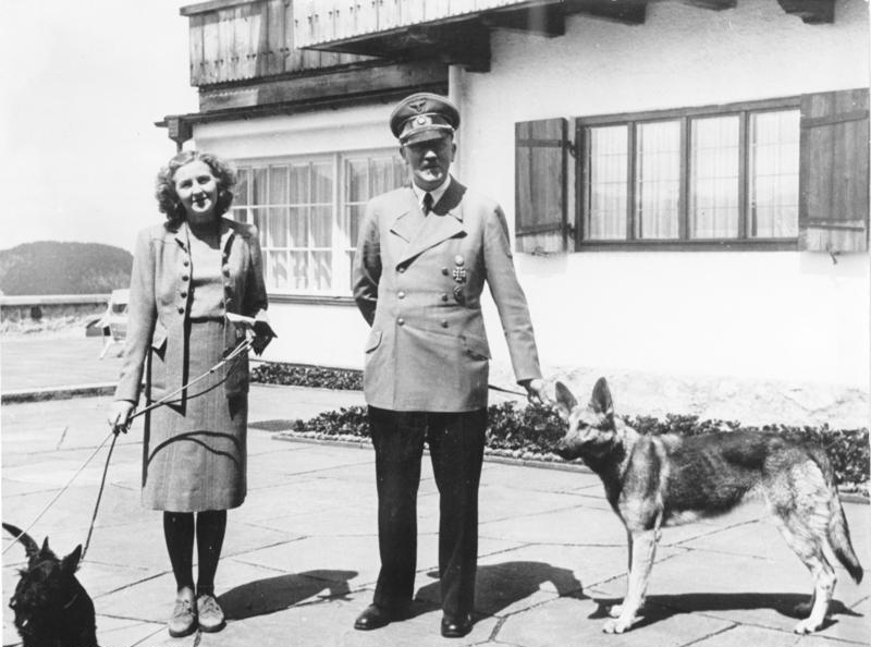 Dog Hitler