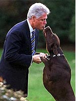 Clinton e Buddy