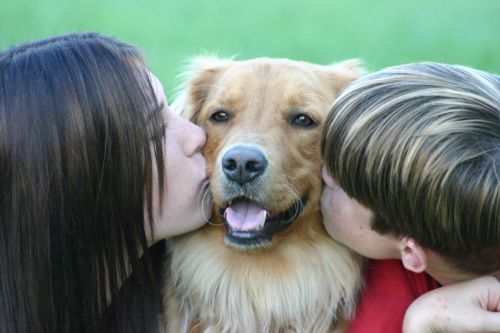 Storia d'amore canina