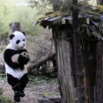 Uomo vestito da Panda
