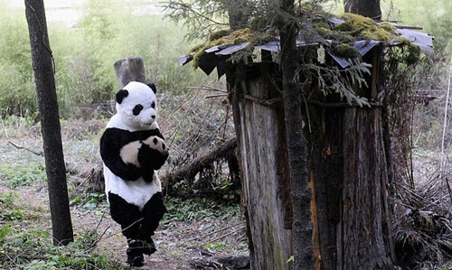 Uomo vestito da Panda