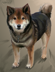 Shiba Inu