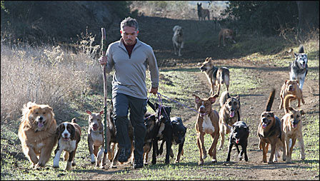 Cesar Millan