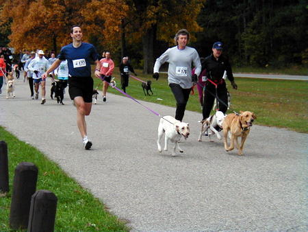 Correre con il cane