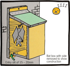 batbox