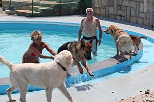 Piscina per cani