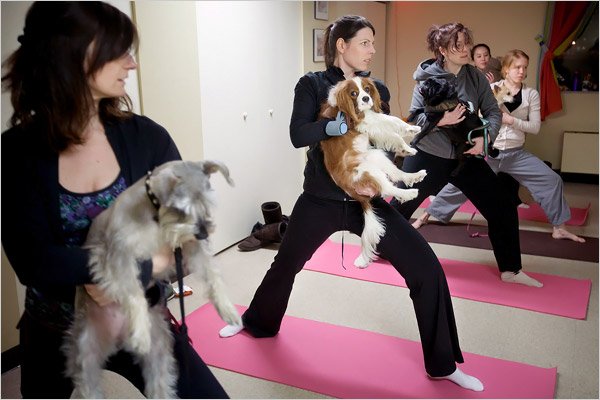 Doga Yoga con i cani